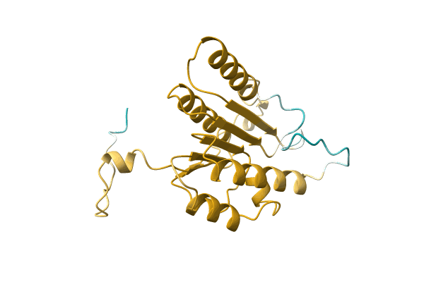 AF-A0A1C5I0W5-F1 image