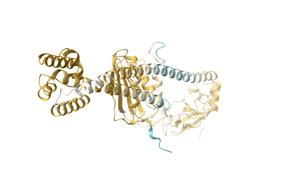 AF-A0A1C5IG30-F1 image