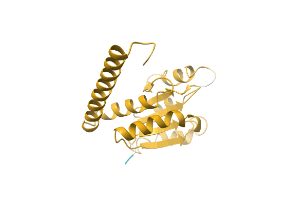 AF-A0A1C5NS72-F1 image