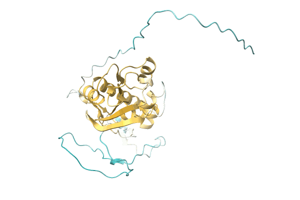 AF-A0A1C6EPB2-F1 image