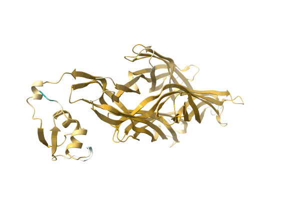 AF-A0A1C6ETN2-F1 image