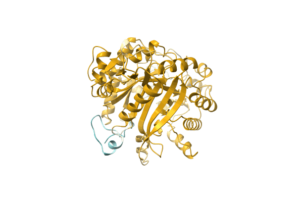 AF-A0A1C7D1B7-F1 image