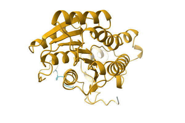 AF-A0A1C7DTK2-F1 image