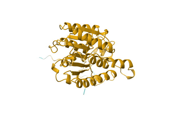 AF-A0A1C7E3V9-F1 image