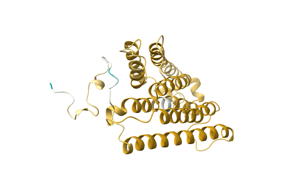 AF-A0A1C8Y8W1-F1 image