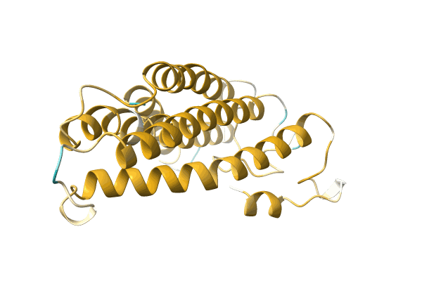 AF-A0A1C9DM88-F1 image