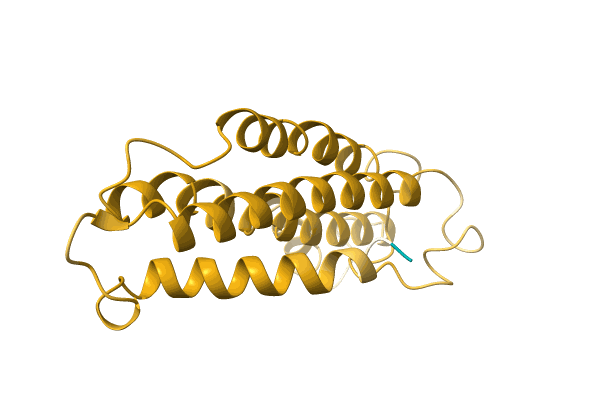 AF-A0A1C9DMF3-F1 image