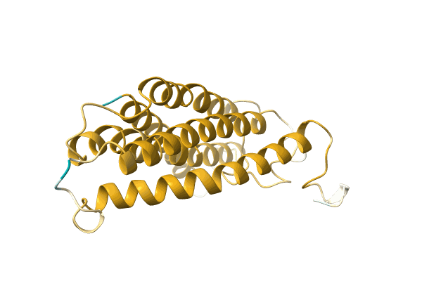 AF-A0A1C9DQY6-F1 image