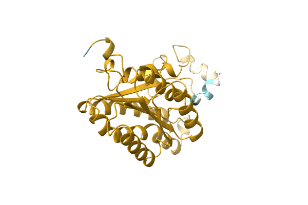 AF-A0A1C9II22-F1 image