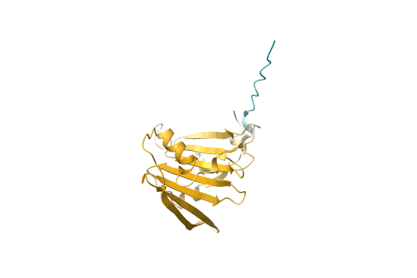 AF-A0A1D2IE74-F1 image