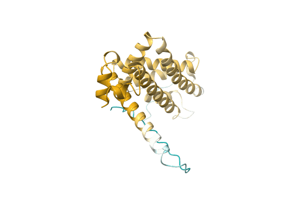 AF-A0A1D2IEB5-F1 image