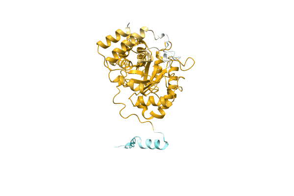 AF-A0A1D2IEE0-F1 image