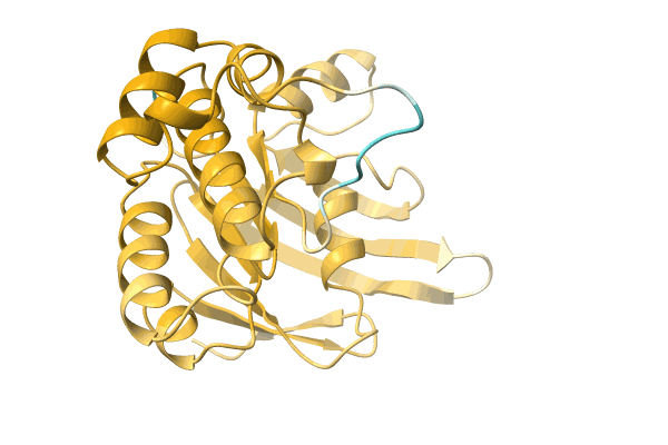 AF-A0A1D2IEF7-F1 image