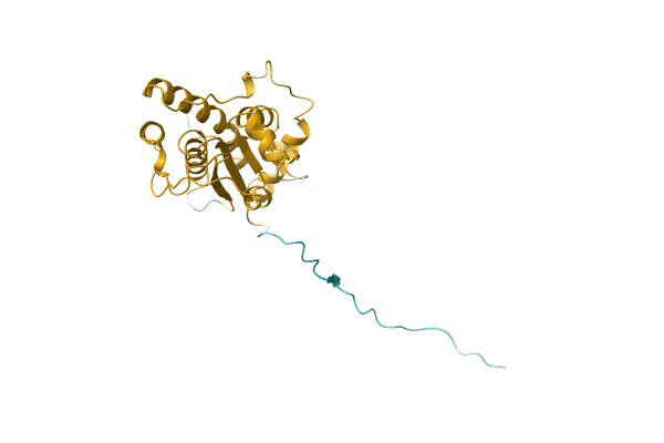 AF-A0A1D2IEJ8-F1 image