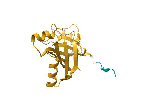 AF-A0A1D2IEM4-F1 image