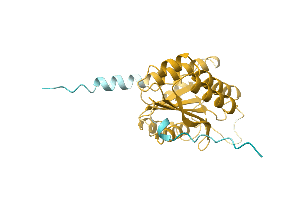 AF-A0A1D2SNP3-F1 image