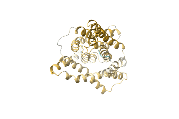 AF-A0A1D2SNQ2-F1 image
