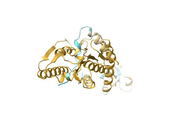 AF-A0A1D2SNR6-F1 image