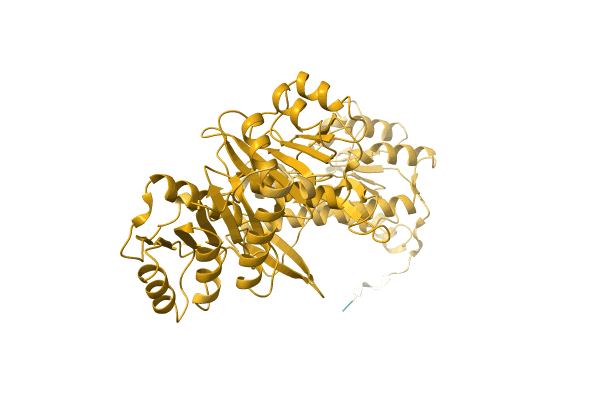 AF-A0A1D2SNT3-F1 image