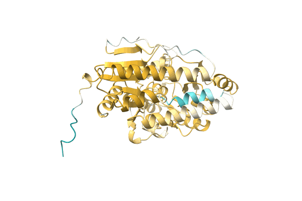 AF-A0A1D2WJ54-F1 image