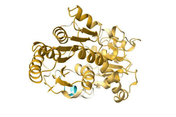 AF-A0A1D2WJ73-F1 image