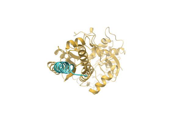 AF-A0A1D3JVQ9-F1 image