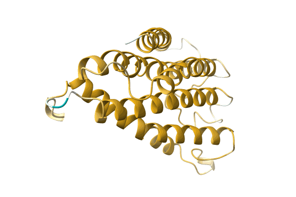 AF-A0A1D5ARG3-F1 image
