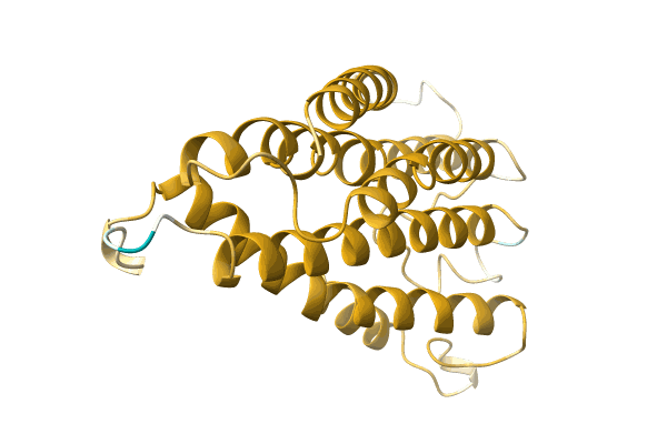 AF-A0A1D5ARG6-F1 image