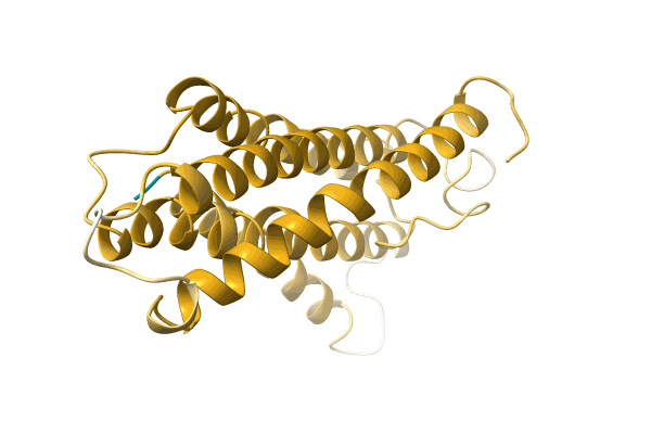 AF-A0A1D8LV58-F1 image