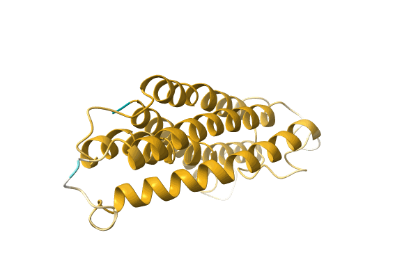 AF-A0A1D8LYN4-F1 image