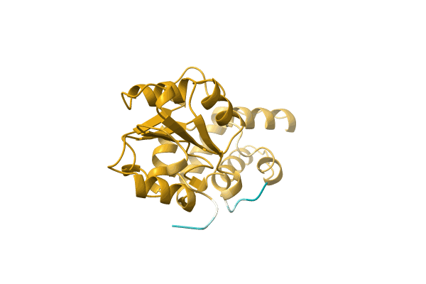 AF-A0A1D8UUV2-F1 image