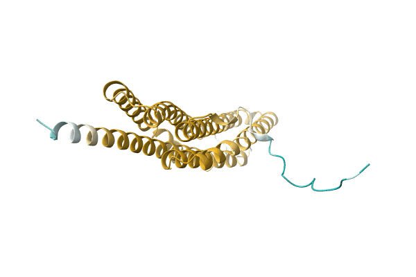 AF-A0A1D8UUV3-F1 image