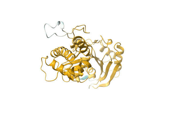 AF-A0A1D8UYG0-F1 image