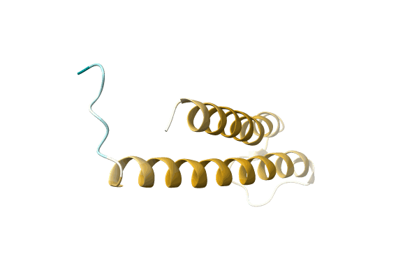 AF-A0A1D8V796-F1 image