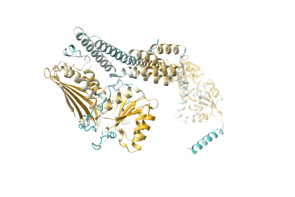 AF-A0A1D8Y5I5-F1 image