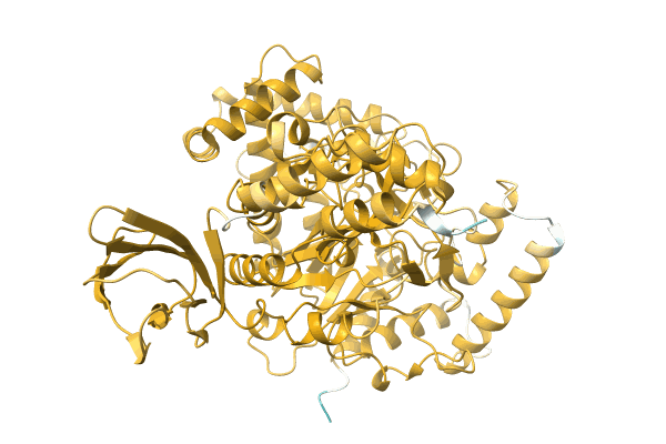 AF-A0A1D8Y5K3-F1 image