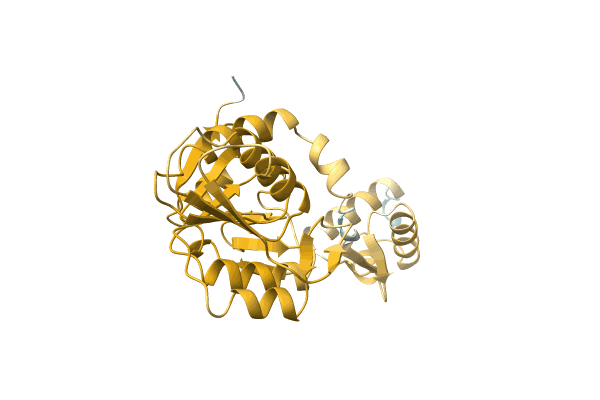 AF-A0A1D8Y5N4-F1 image