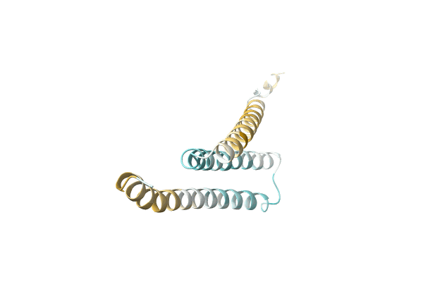 AF-A0A1D8Y5P5-F1 image