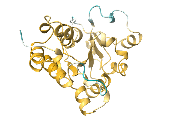 AF-A0A1D8Y7C9-F1 image