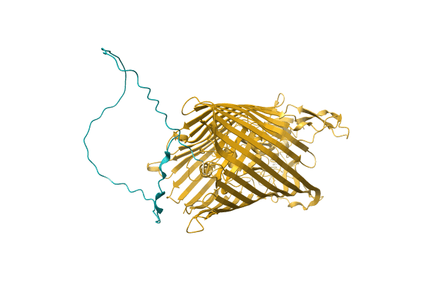 AF-A0A1D8YDL4-F1 image