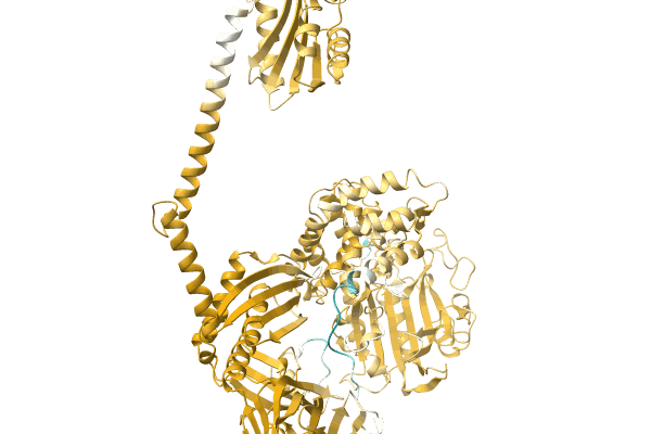 AF-A0A1D8YDN1-F1 image