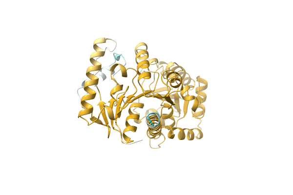 AF-A0A1D8YE80-F1 image