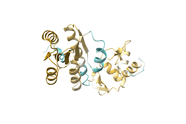 AF-A0A1D8YEG7-F1 image