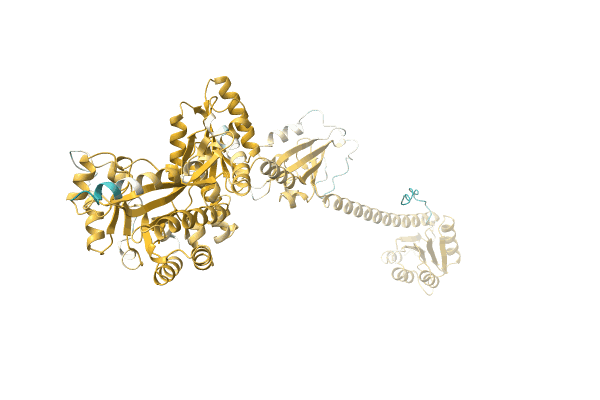 AF-A0A1E3C825-F1 image