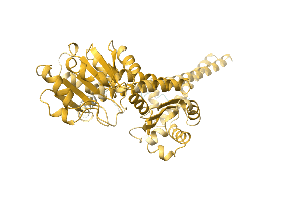 AF-A0A1E3C840-F1 image