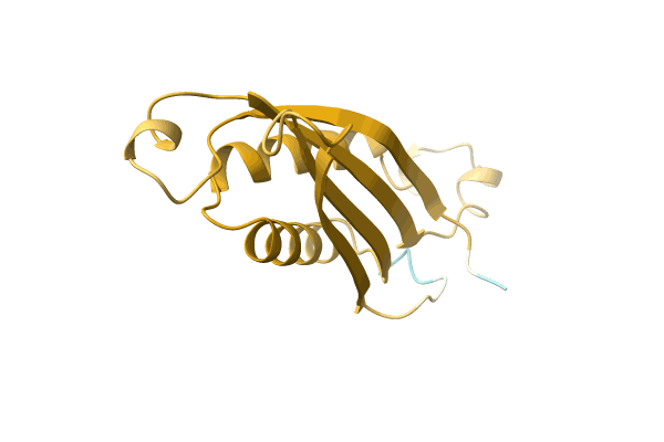 AF-A0A1E3C859-F1 image