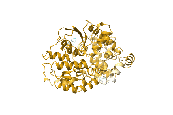 AF-A0A1E3G026-F1 image