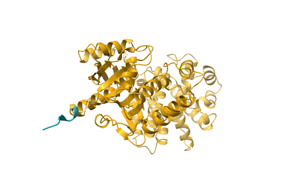 AF-A0A1E3G066-F1 image