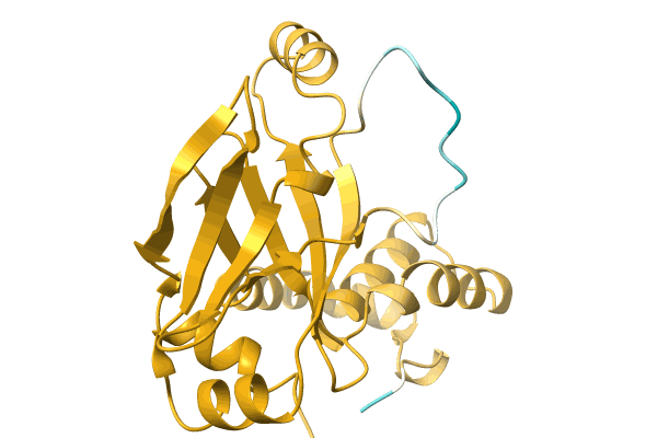 AF-A0A1E3G0C7-F1 image