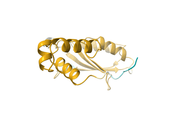 AF-A0A1E3G0H4-F1 image